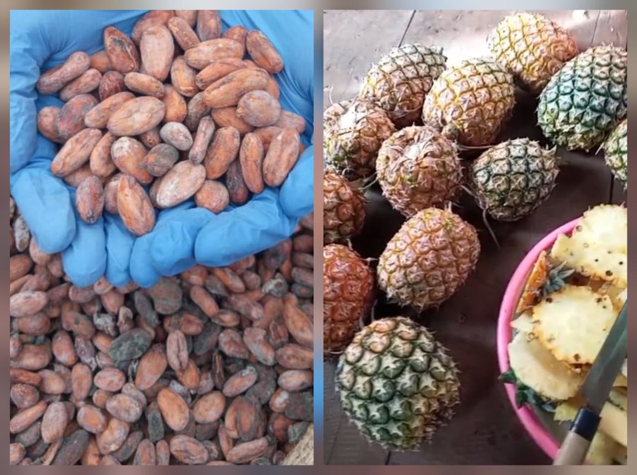 1763644756_WhatsApp Image 2025-11-20 at 21.00.47.jpeg